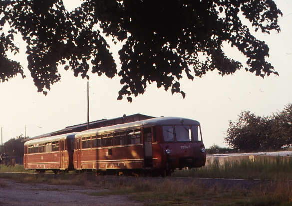 Eisenbahndia-Bf.Langenleuba-Oberhain 172154/754, P15607 15.08.1991